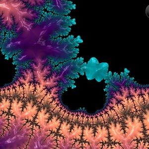 Meet your Posher, it's my Pleasure !